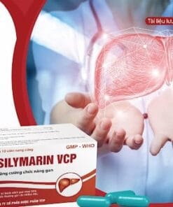 Silymarin VCP 140mg (Sylimarin 140) - Tăng cường chức năng gan, Giải độc gan , Xơ gan mạn tính H100v