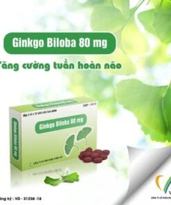 Ginkgo Biloba 80mg VCP tăng tuần hoàn não, điều trị mất trí nhớ