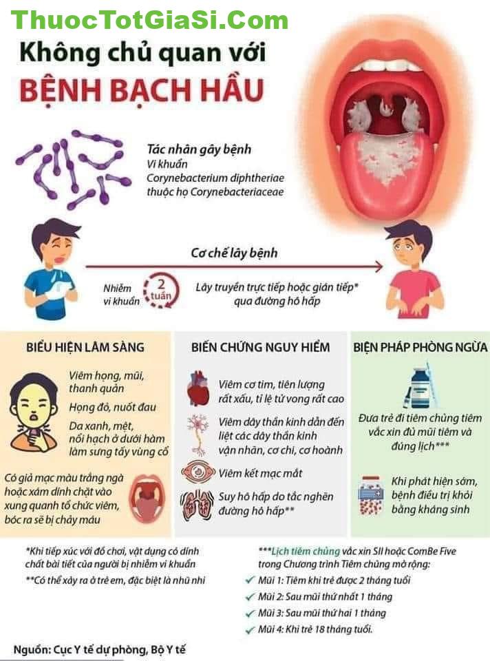 nguyen nhan trieu chung cach phong chong dich benh bach hau 2195 3