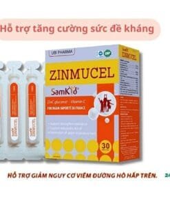 Thuốc Kẽm ZINMUCLE 1000 Samkid H/30 ống tăng cường sức đề kháng và cải thiện sức khỏe 1 thuoc zinmucle 1000 samkid h 30 ong tang cuong suc de khang va cai thien suc khoe 4232 1 e1743823959231