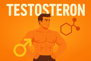 Testosteron là gì? Công dụng – Dấu hiệu thiếu – Cách tăng tự nhiên & bằng thuốc