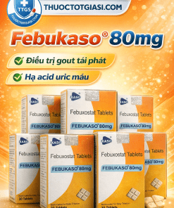 Febukaso (Febuxostat 80mg) – Thuốc điều trị gout, giảm acid uric máu hiệu quả